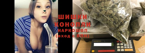 гашик Ладушкин