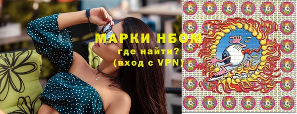 гашик Ладушкин
