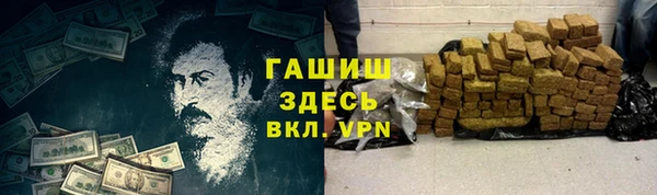 гашик Ладушкин