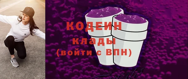 гашик Ладушкин
