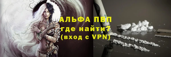 PSILOCYBIN Лабытнанги