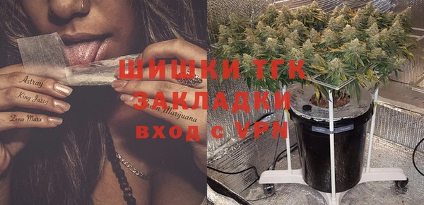 PSILOCYBIN Лабытнанги