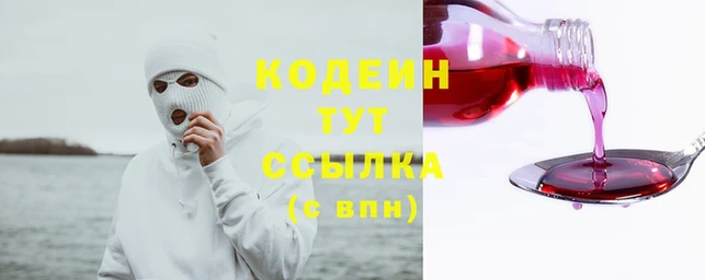 гашик Ладушкин
