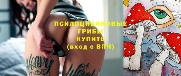 PSILOCYBIN Лабытнанги