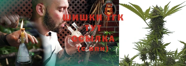 гашик Ладушкин