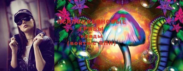 дживик Бутурлиновка