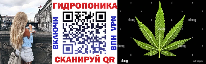Бошки марихуана SATIVA & INDICA  Купить где  Дмитровск 